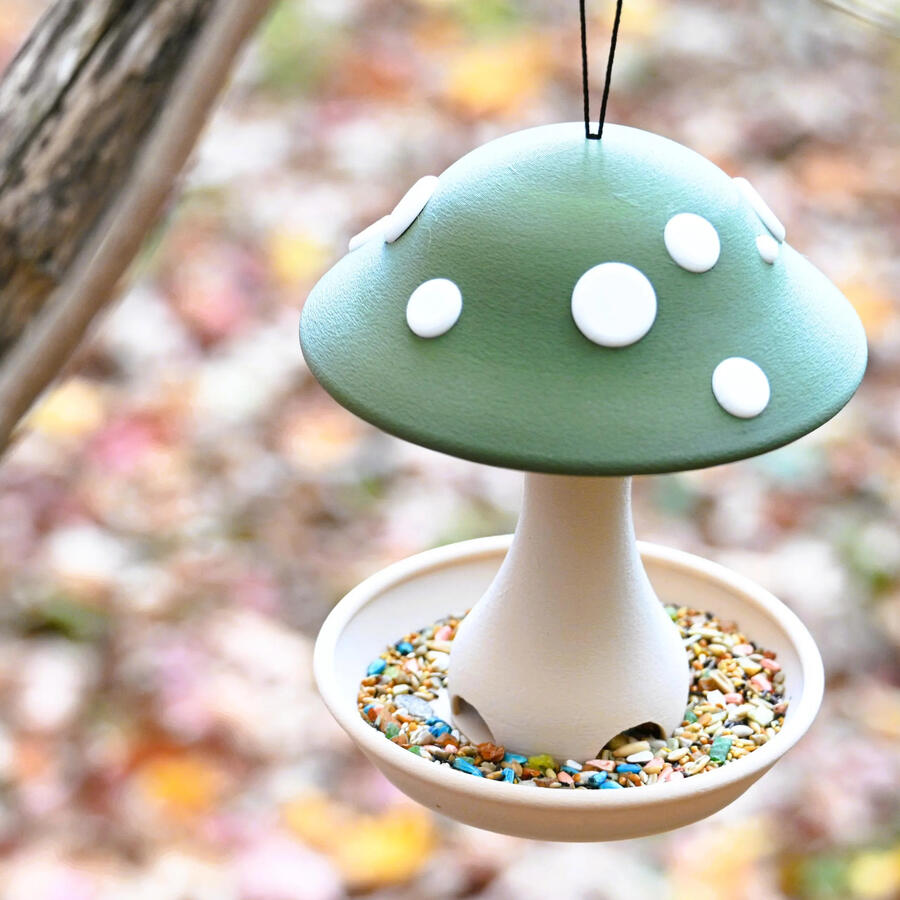 Fungi Feeder
