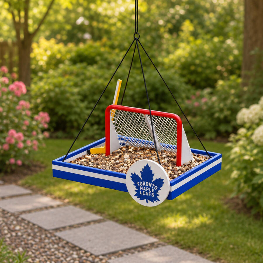 Hockey Feeder