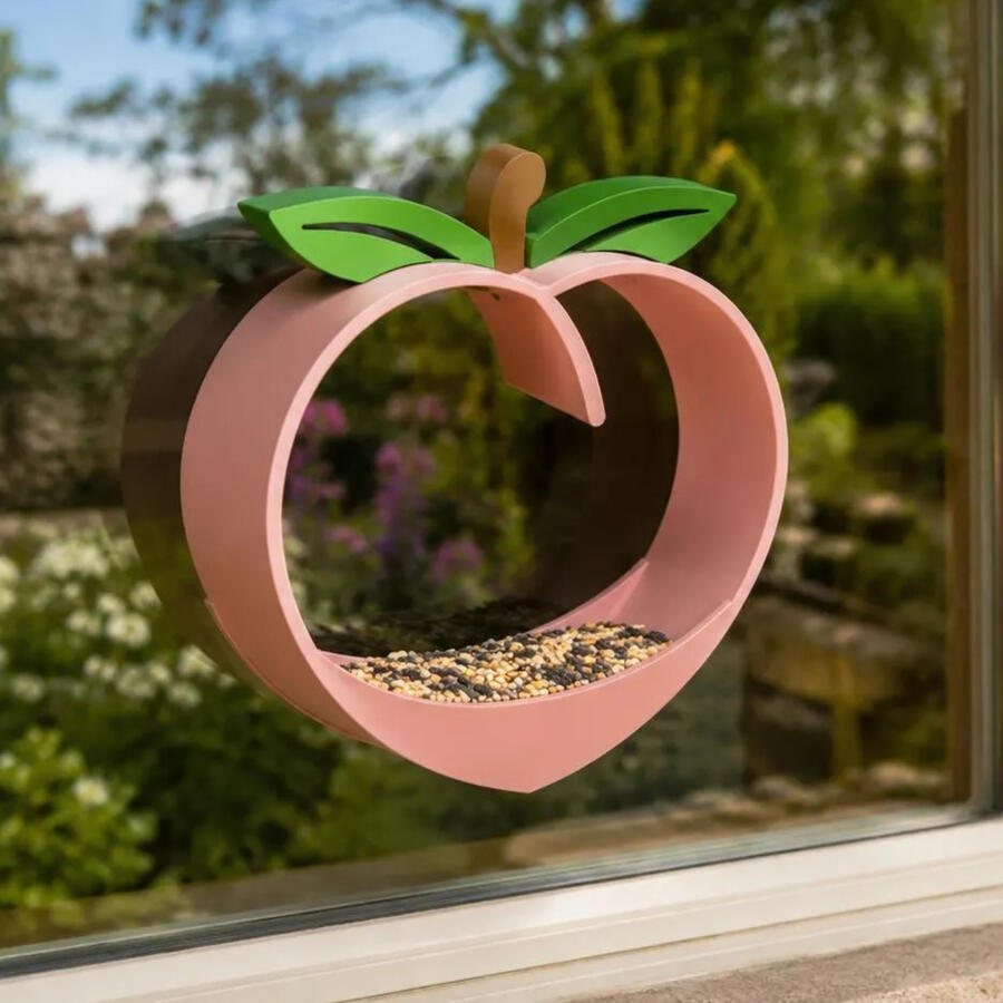 Peach Window Feeder
