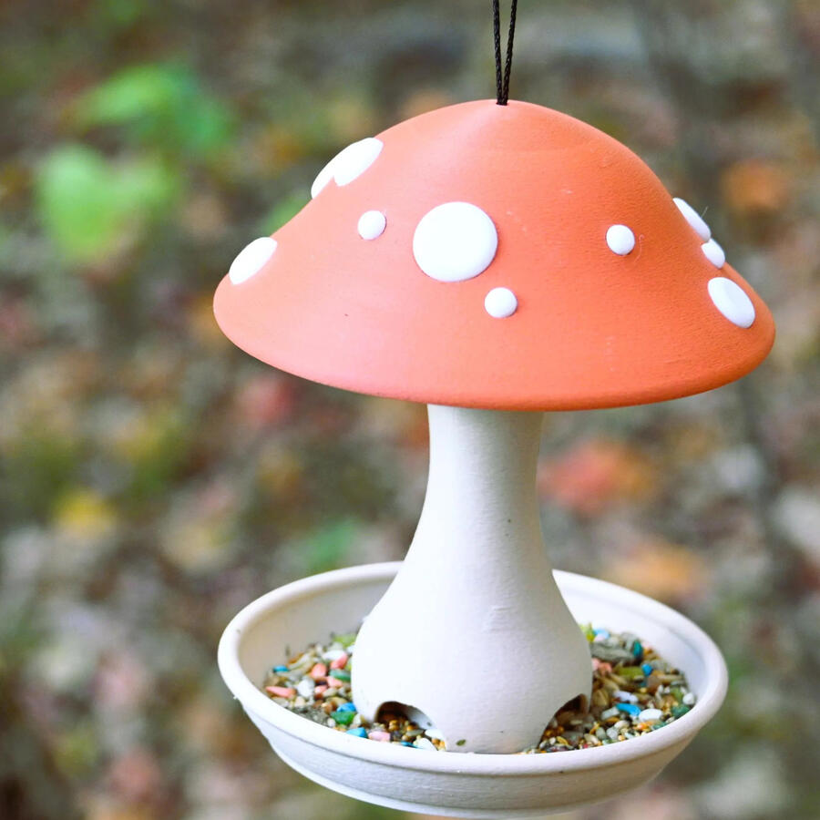 Fungi Feeder